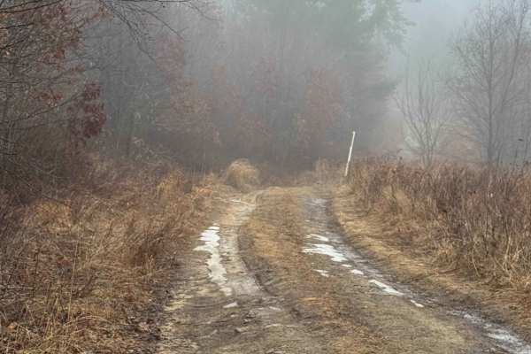 Eagleton Run Blue Trail