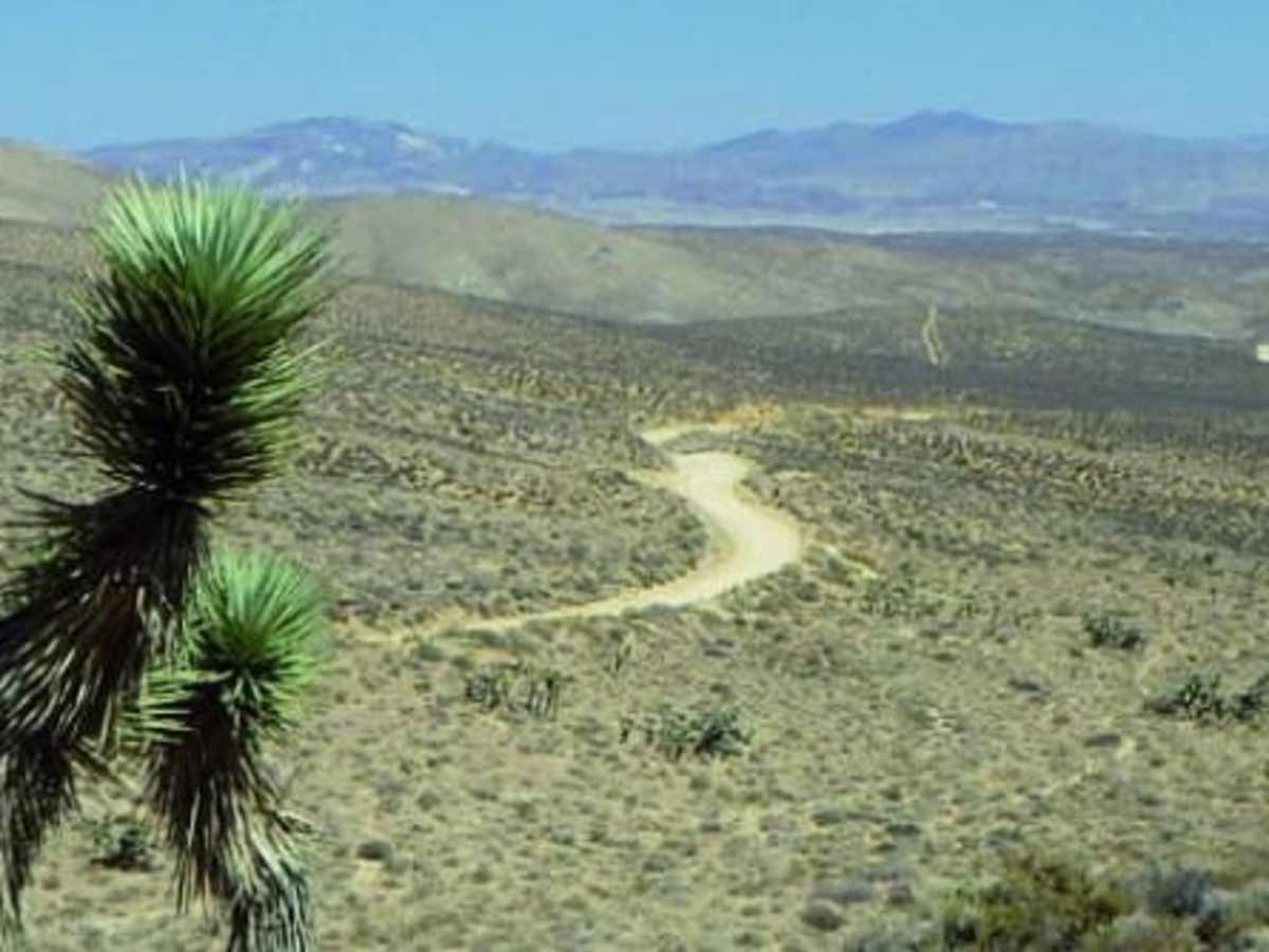 Jawbone to Lake Isabella photo 5