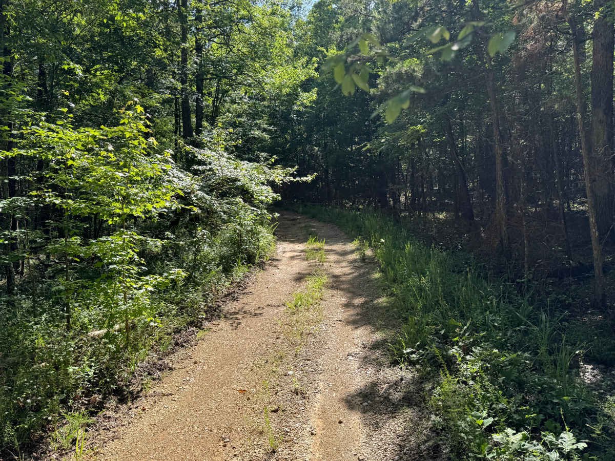 Bear Den Mountain photo 2