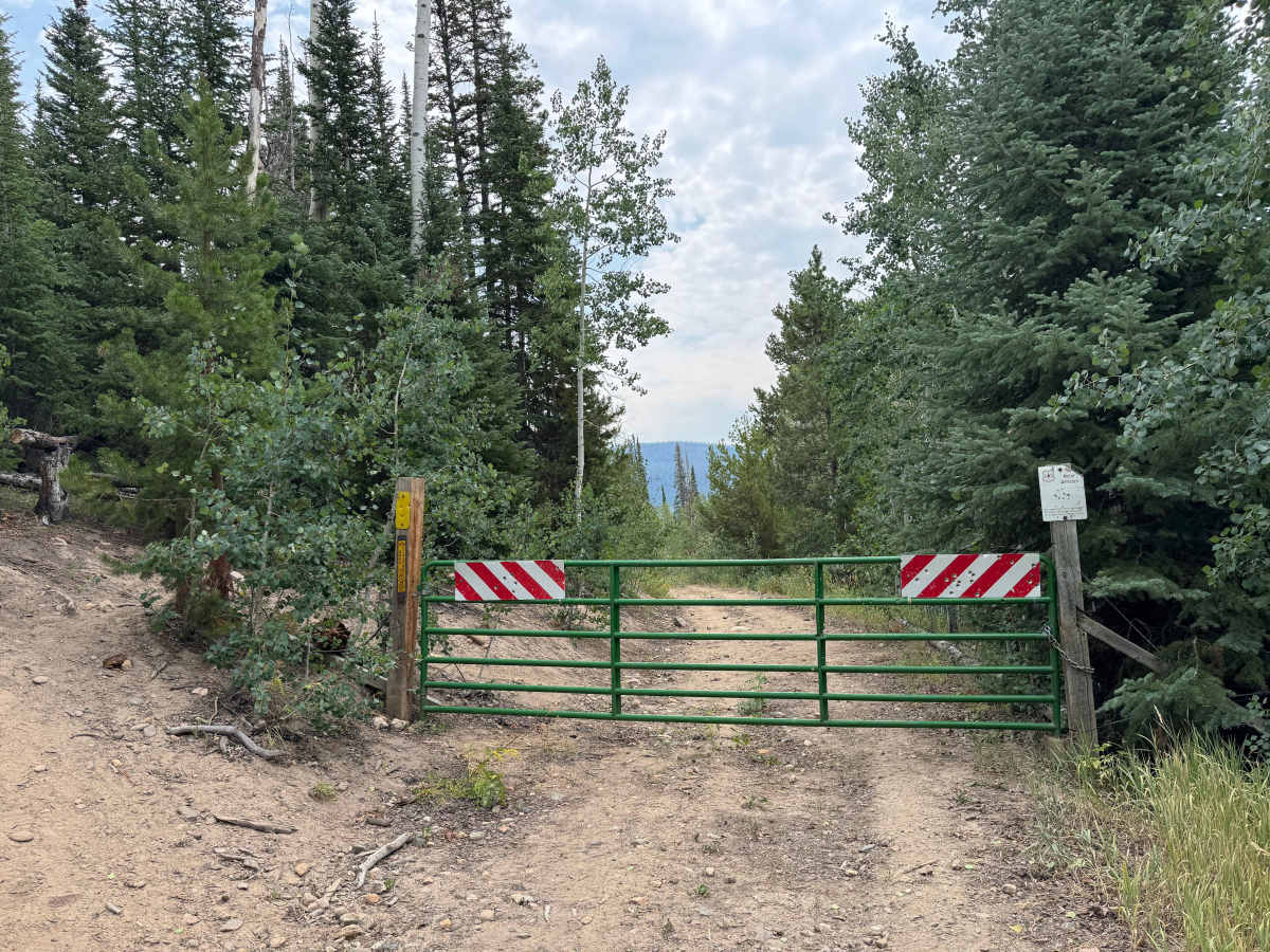 Wapiti Road - FS 441 photo 5