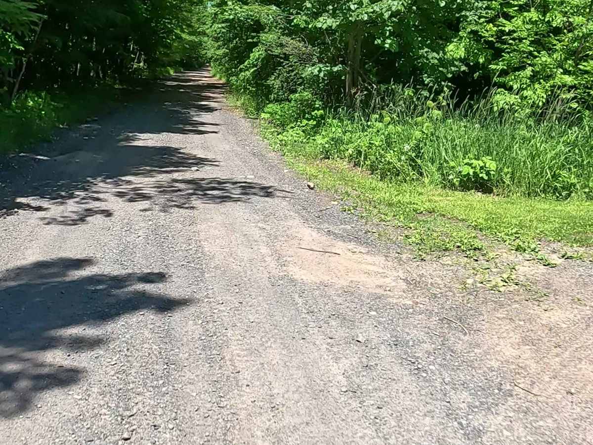 Pinery Road photo 4
