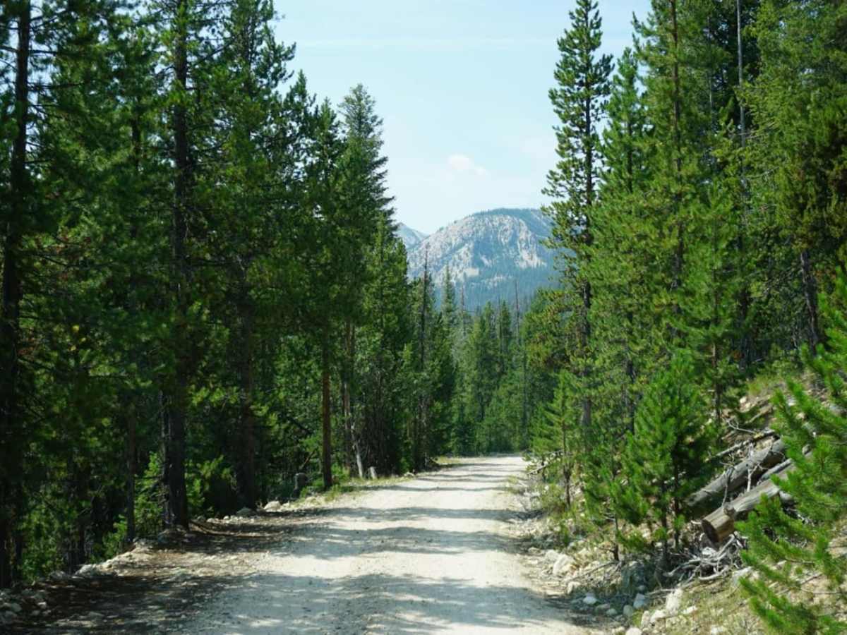 Elk Mountain Trail photo 4