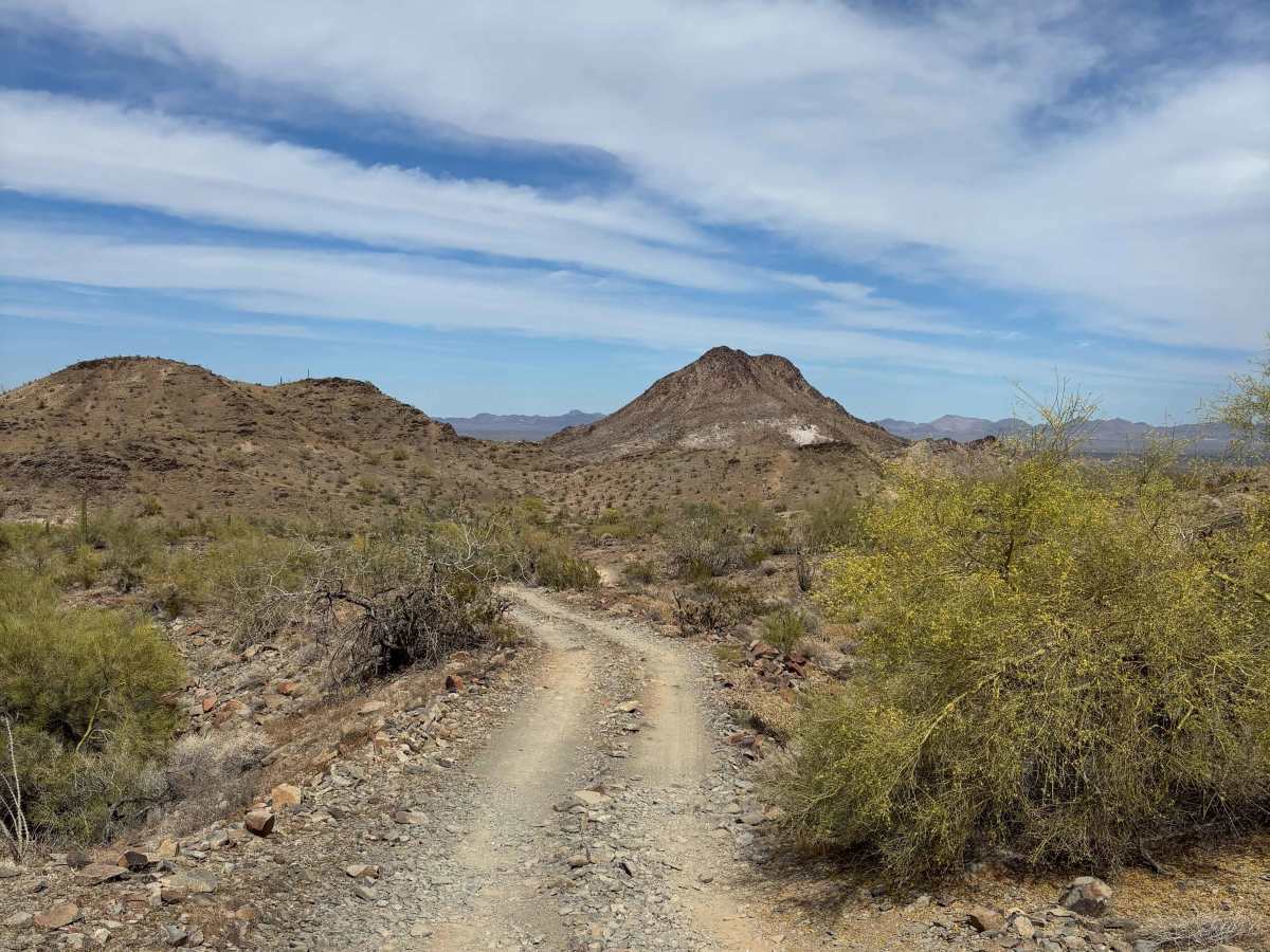BLM 0127 photo 4