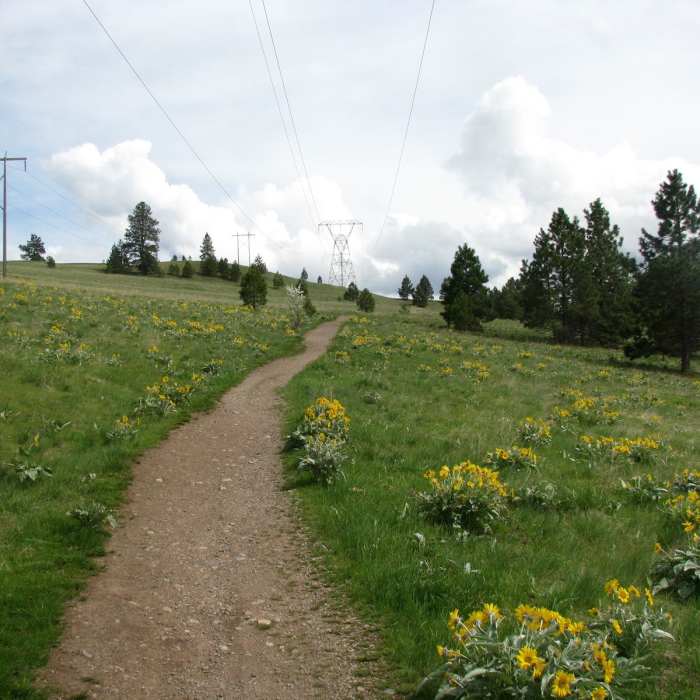 Near Mount Jumbo Saddle Trail