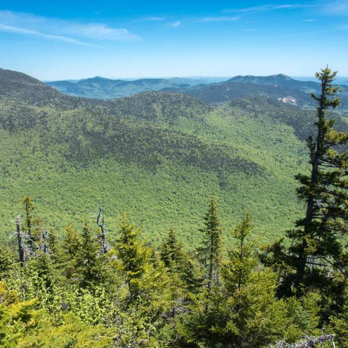 Near Mount Whiteface via Blueberry Ledge Trail Near Mount Whiteface via Blueberry Ledge Trail