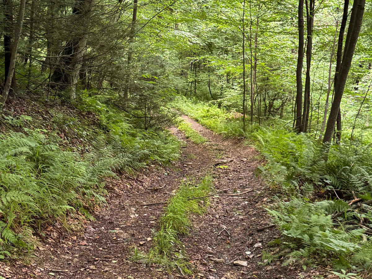 Trail 34 photo 4