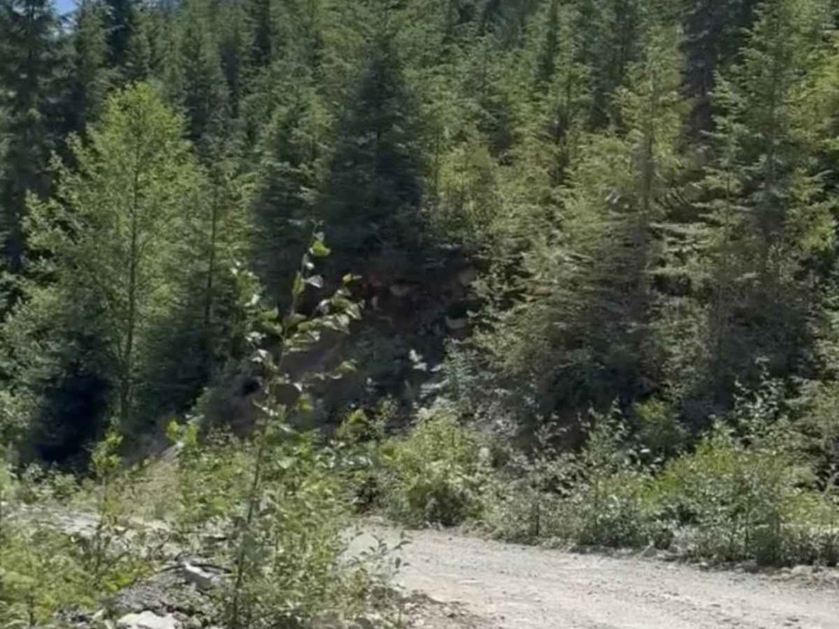 Triple peak trail head photo 3