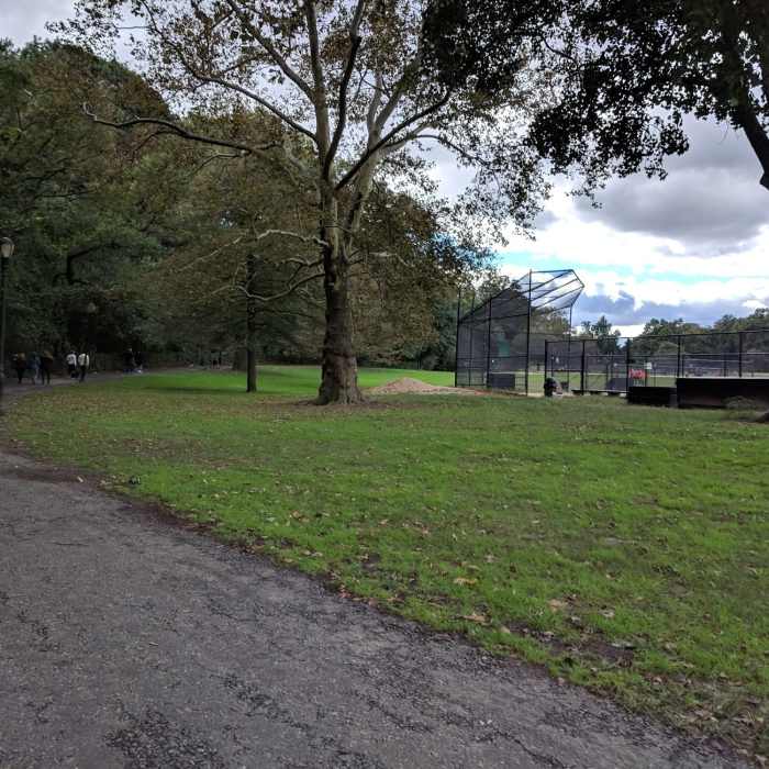 Near Prospect Park Trail Loop