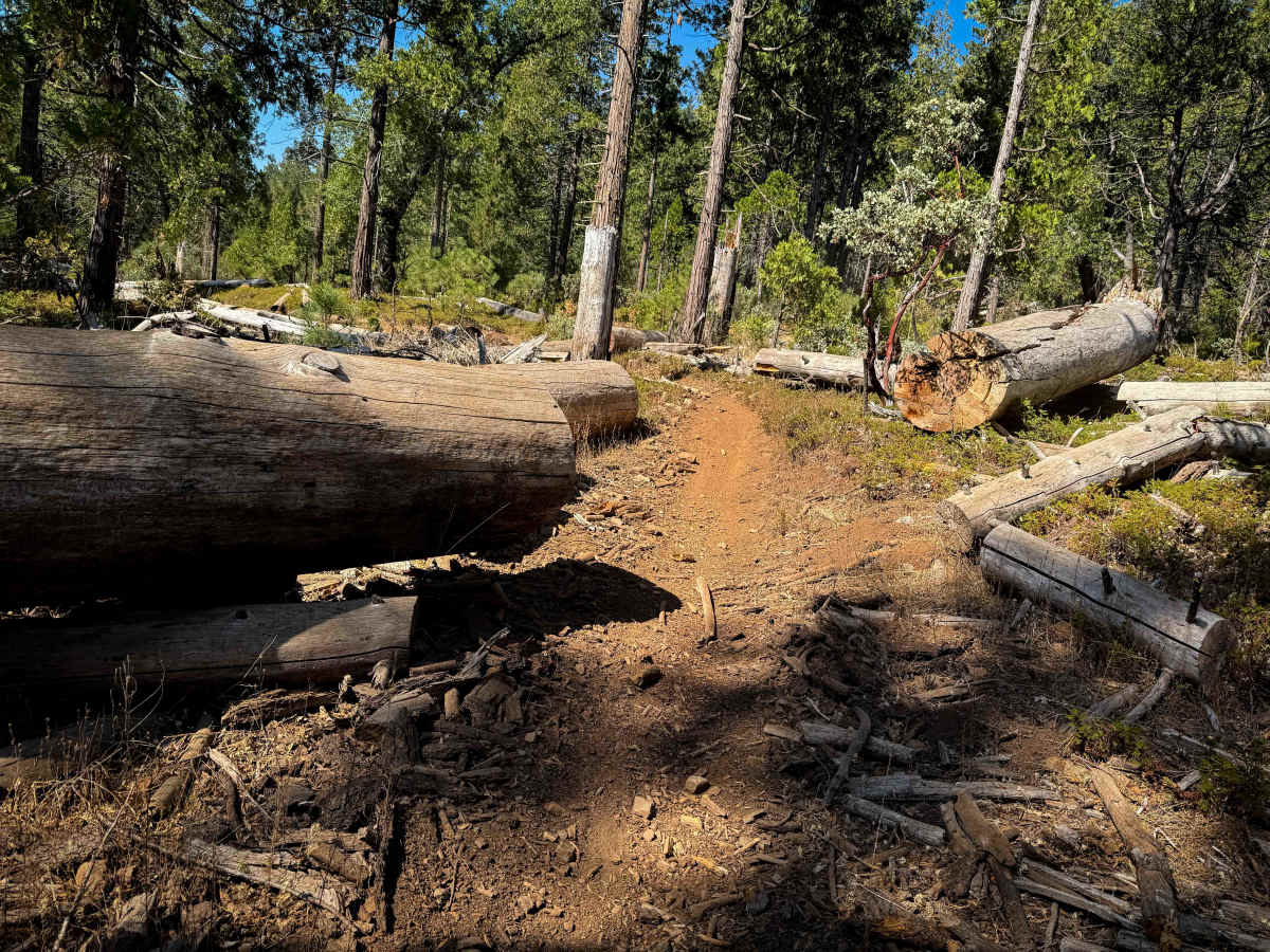 16EV407  trail photo