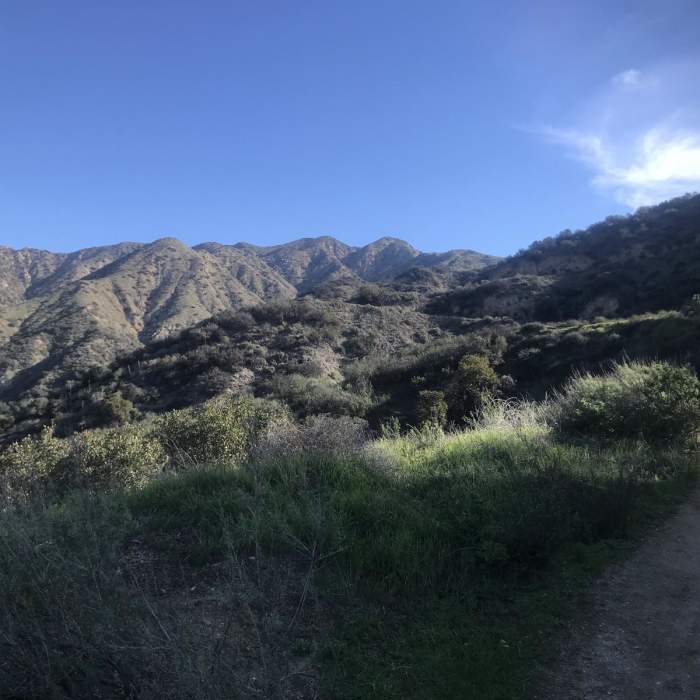 Near Skyline Loop