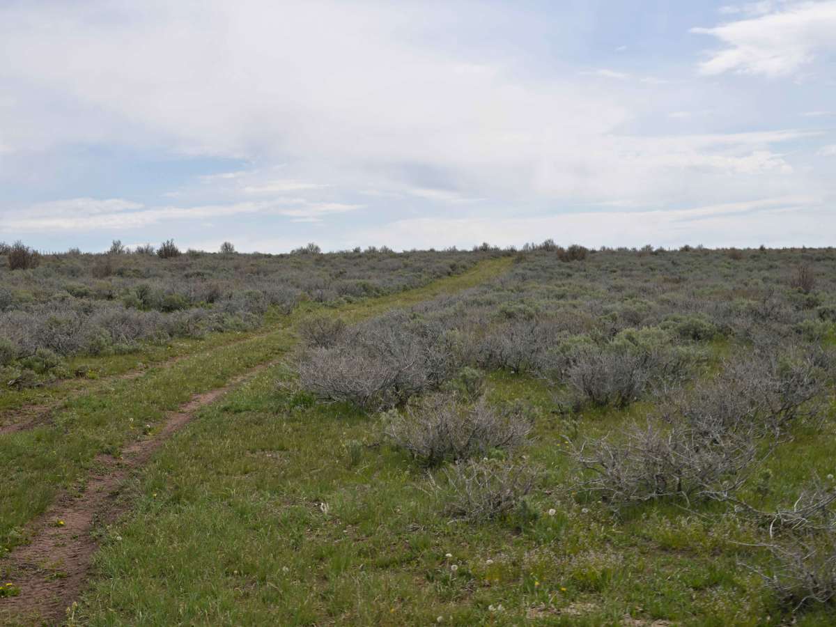 Dutch Charles Cutoff - FR10582 trail photo