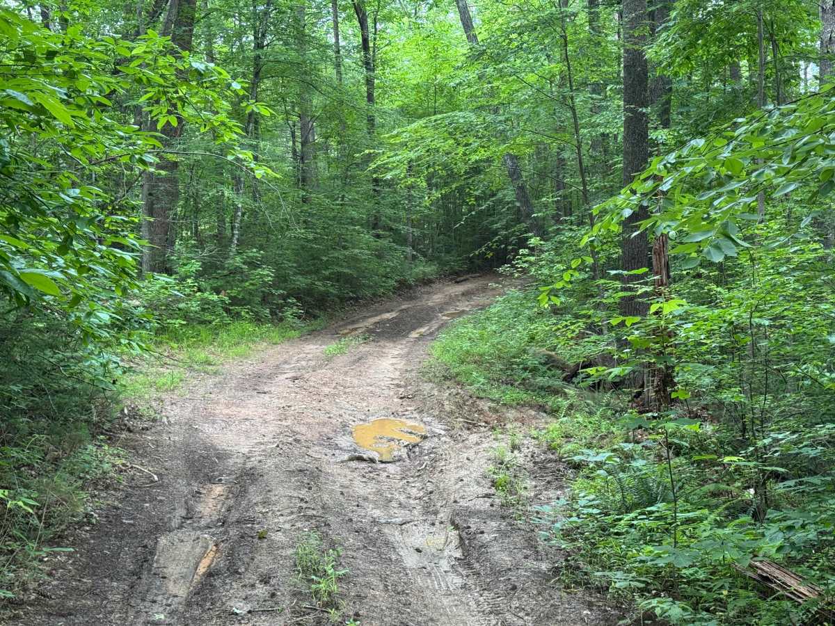 Butler Ridge - FS 1061 photo 3