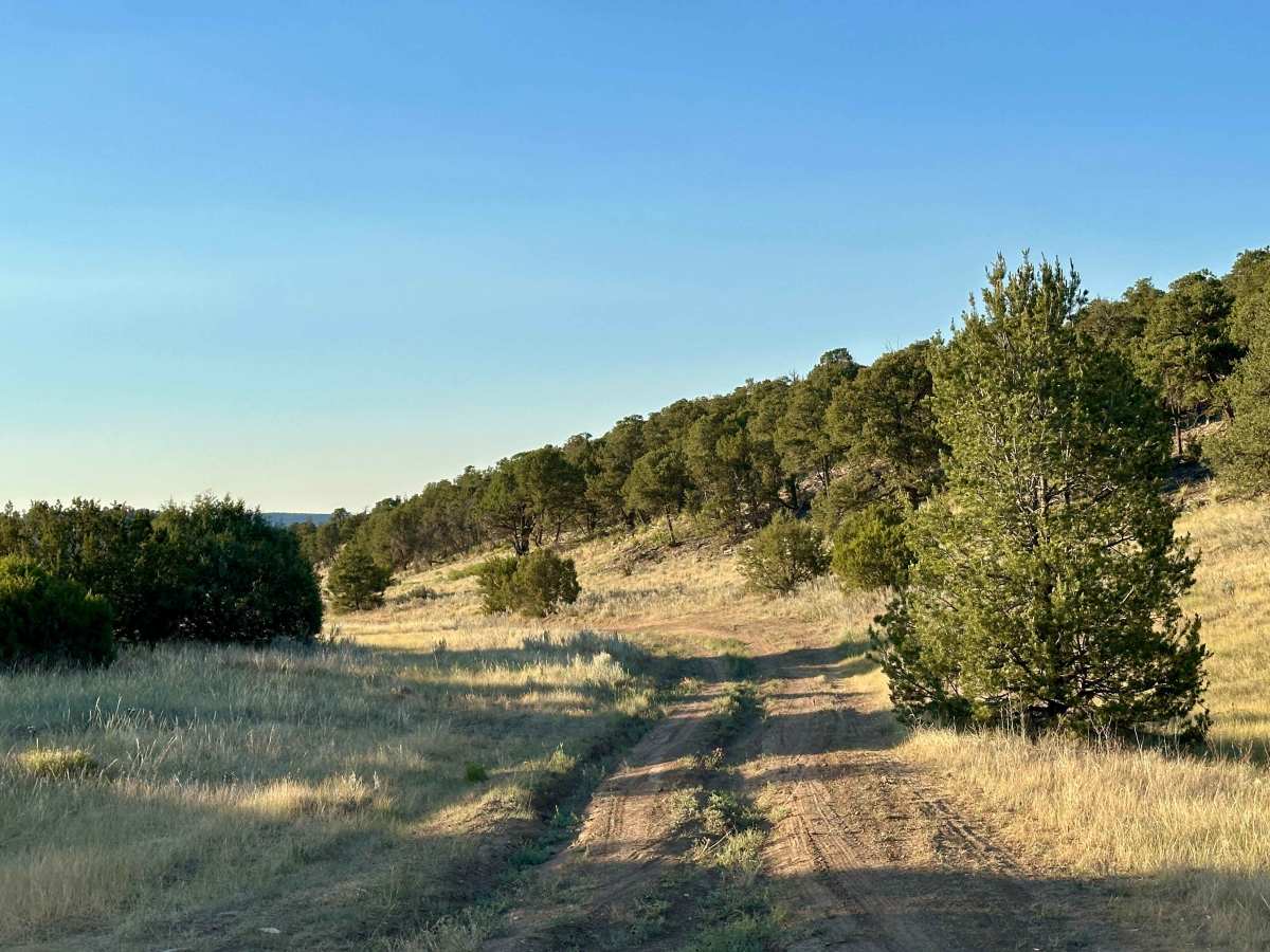 Meadow Ridge Alternate Pass photo 6