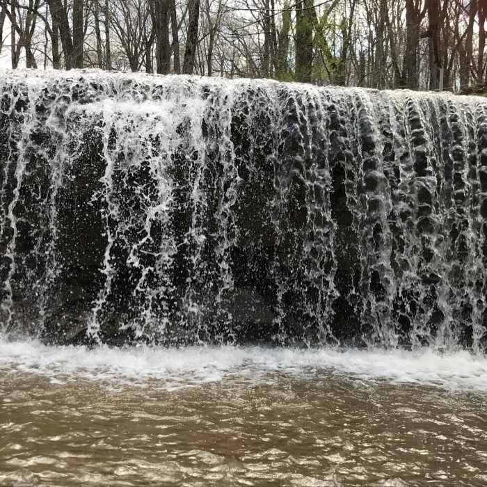 Near Hidden Falls Trail