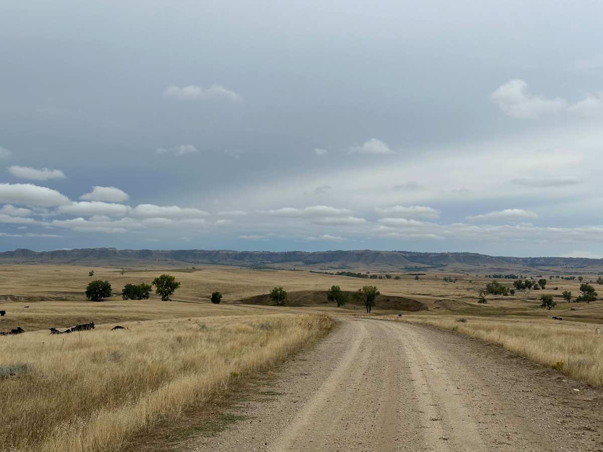 Orella Road trail photo