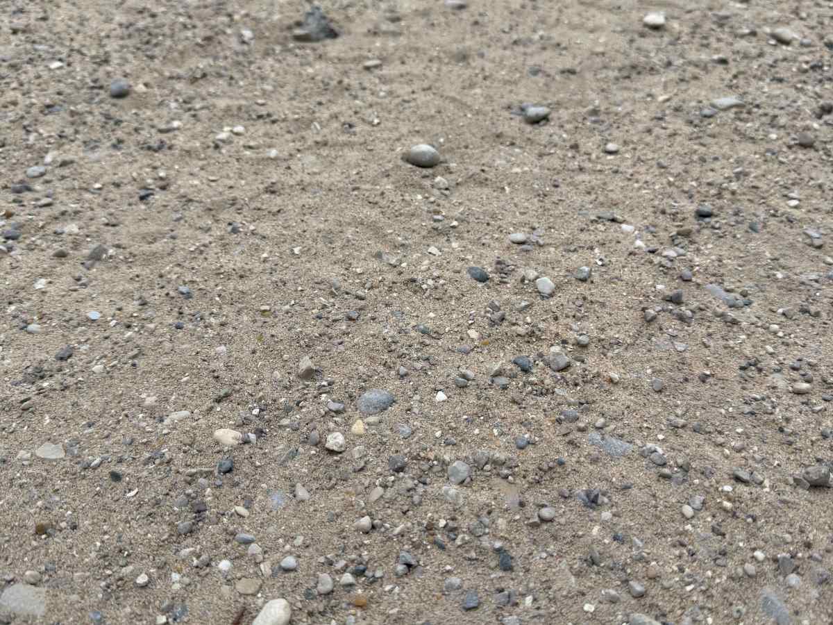 Brown Farm Trail photo 2