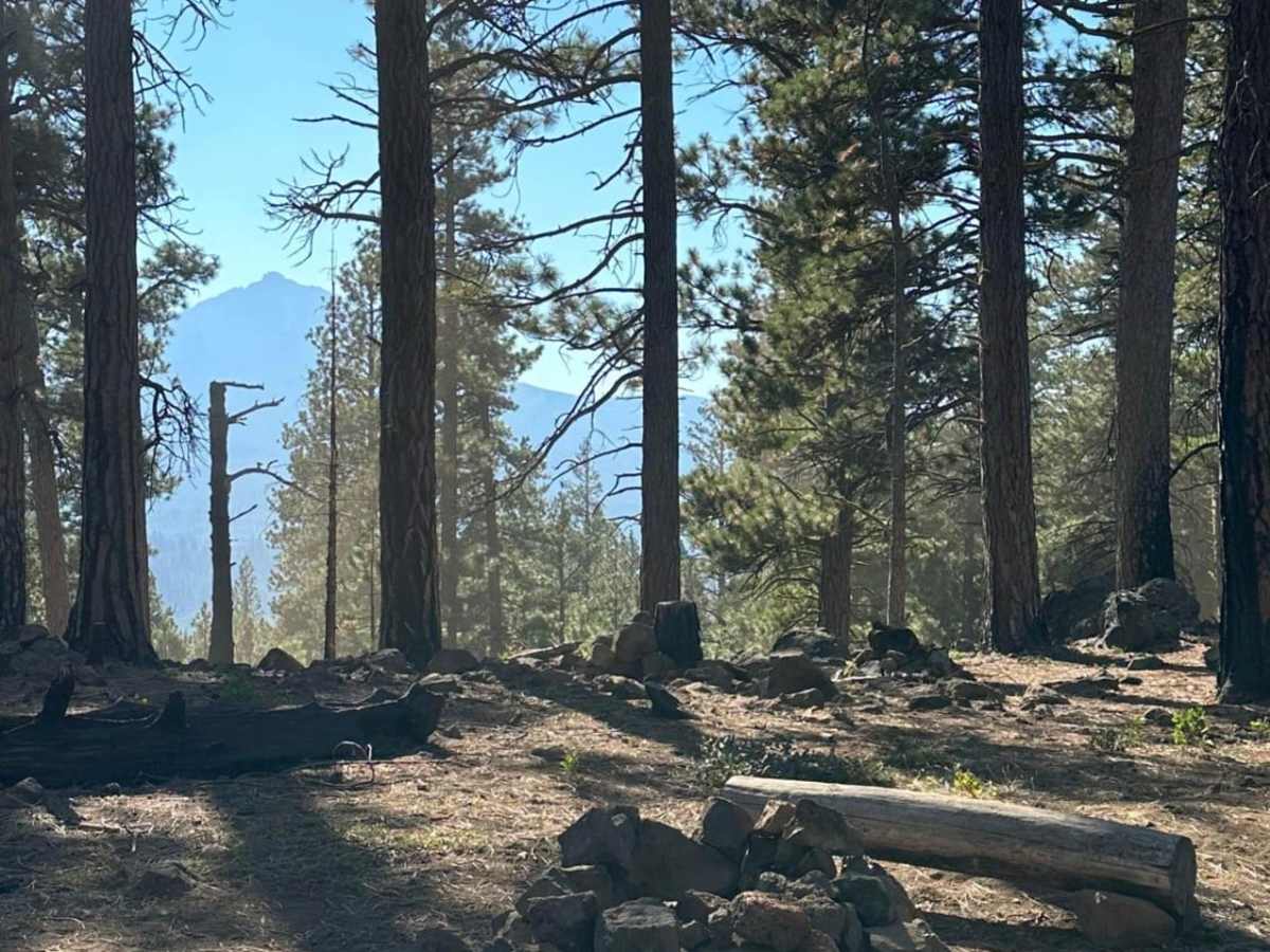 Trout Creek Butte Summit photo 4