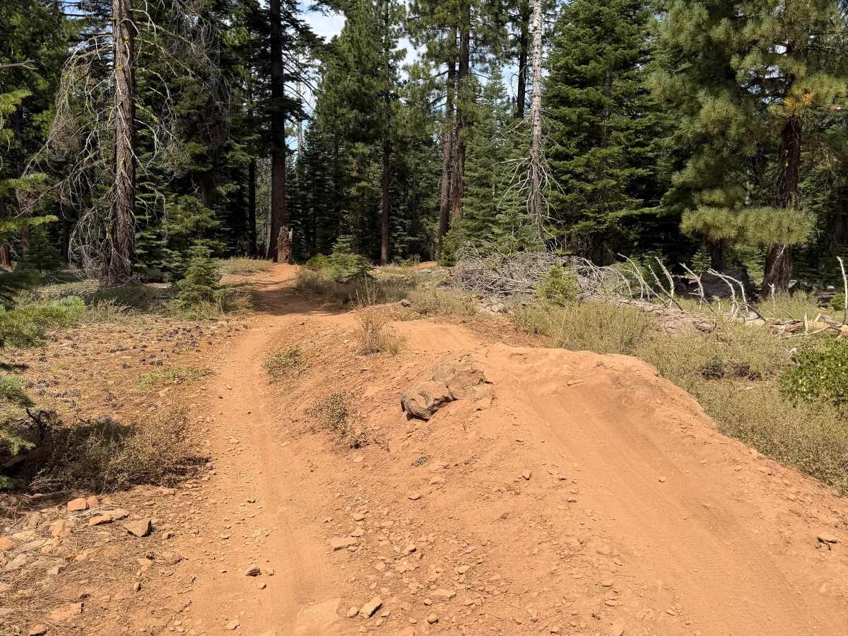 Happy Face (Downhill) trail photo