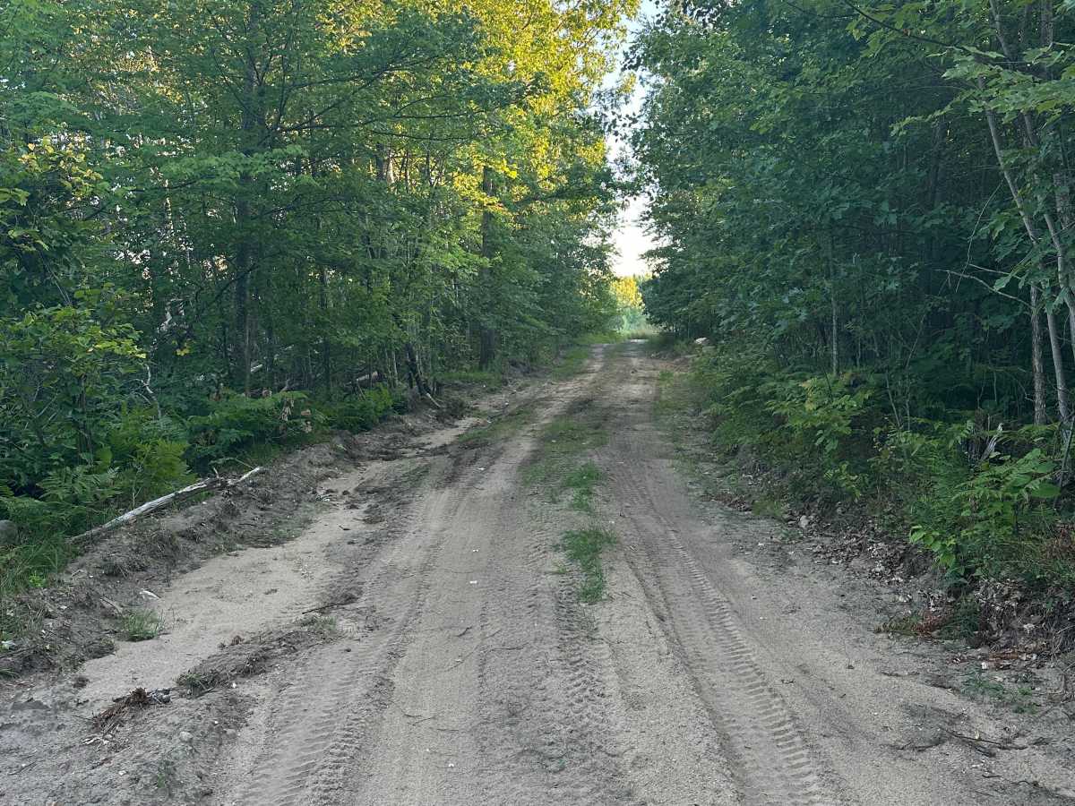 Dunsmore Cutover trail photo