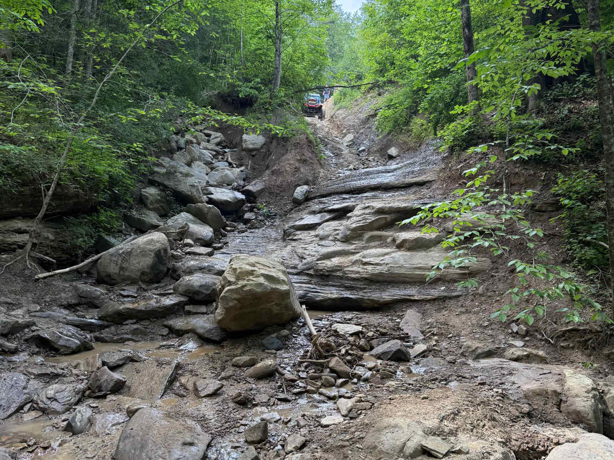 Fish Fossil trail photo