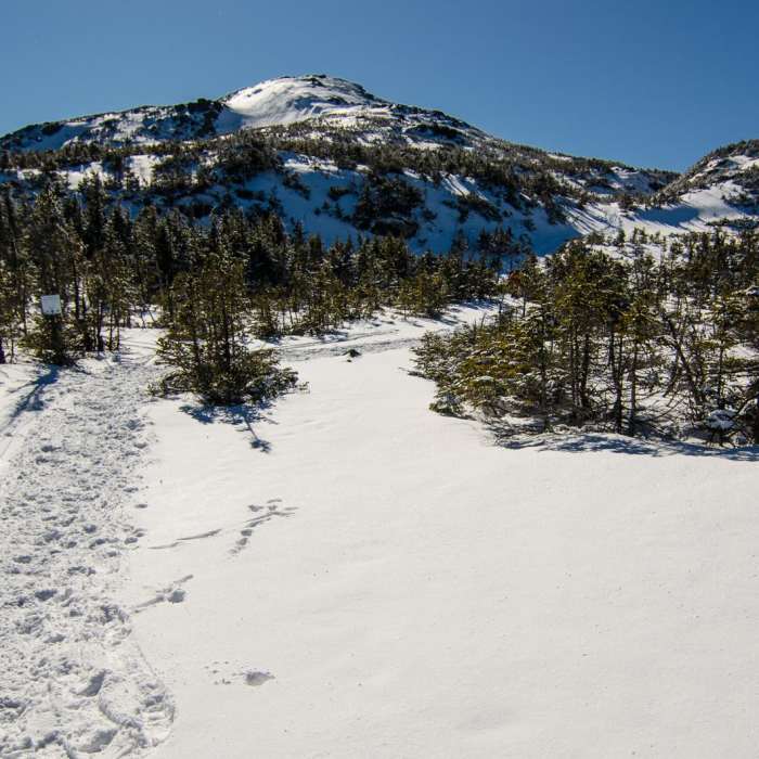 Near Gray Peak Near Gray Peak