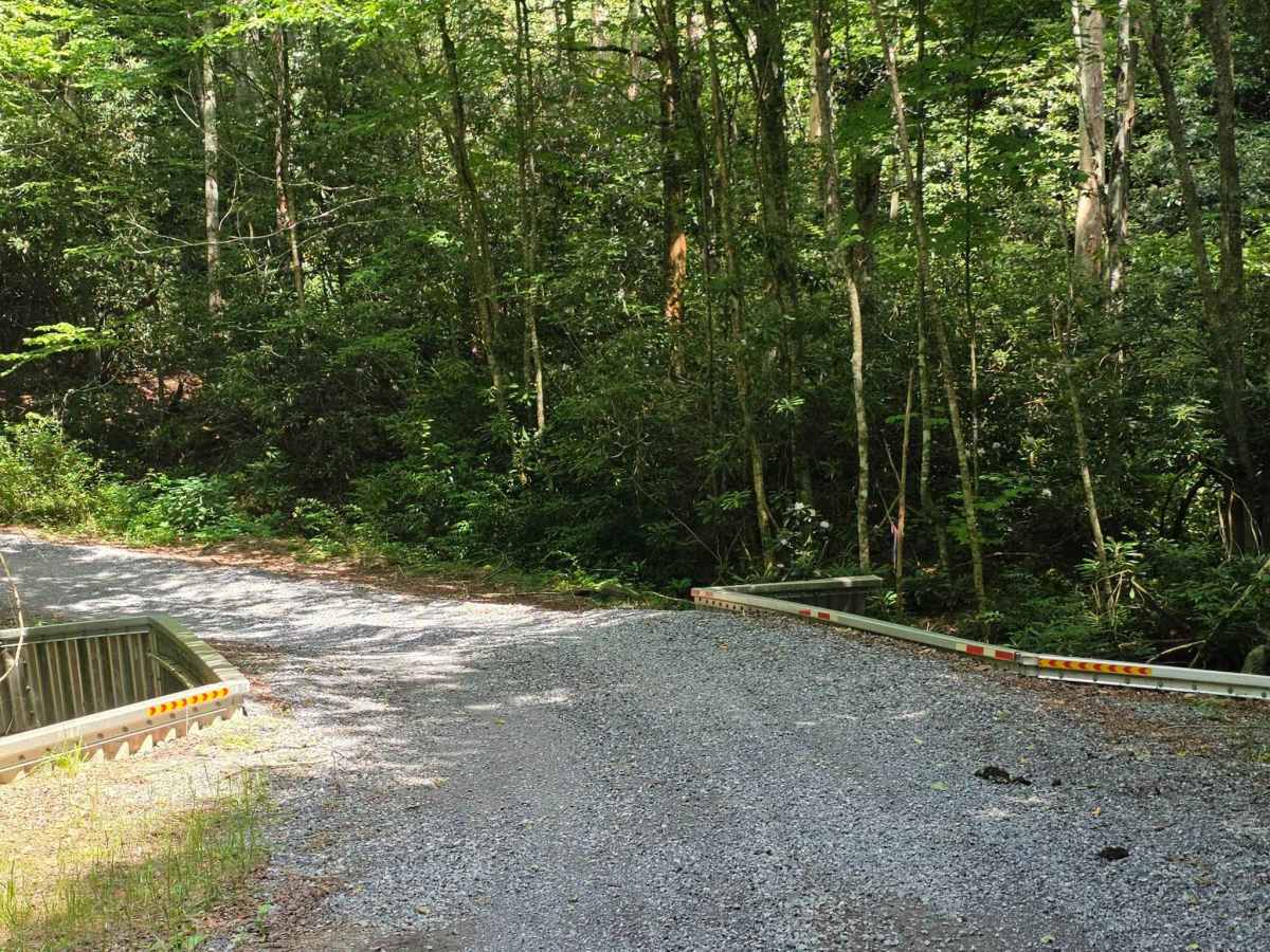 Middle Road photo 6