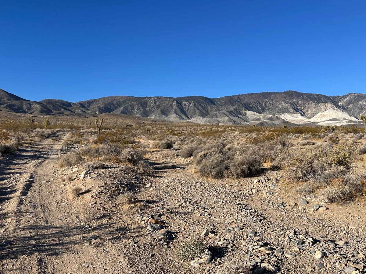 Cinder Flats trail photo