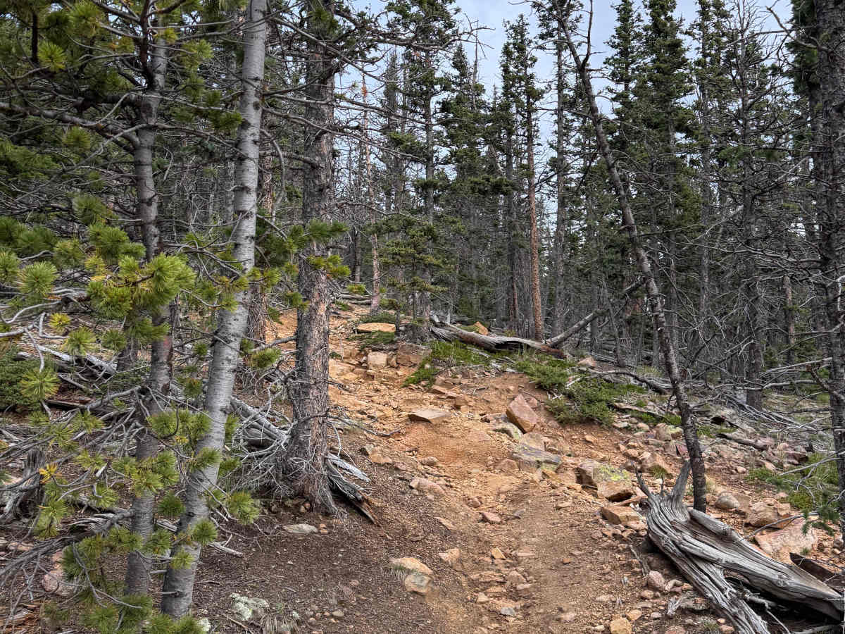 Nelsons Trail photo 4