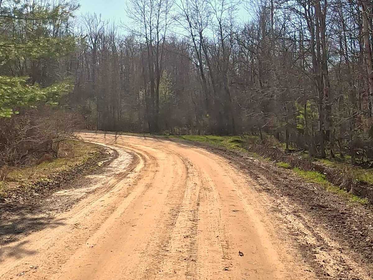 Michaud Road and Goodar Road photo 4