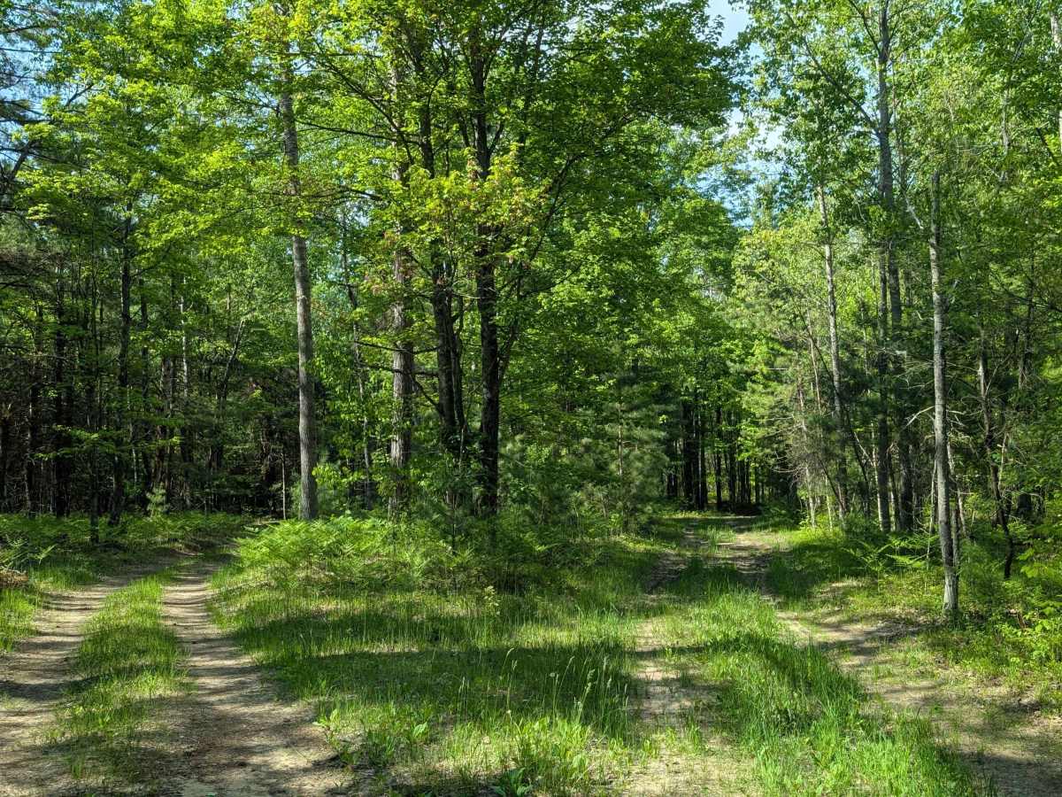 Trophy Acres Hunters Trail photo 4