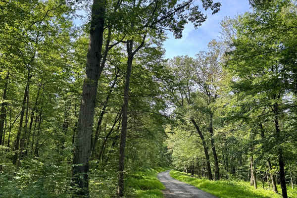 High Rock Road