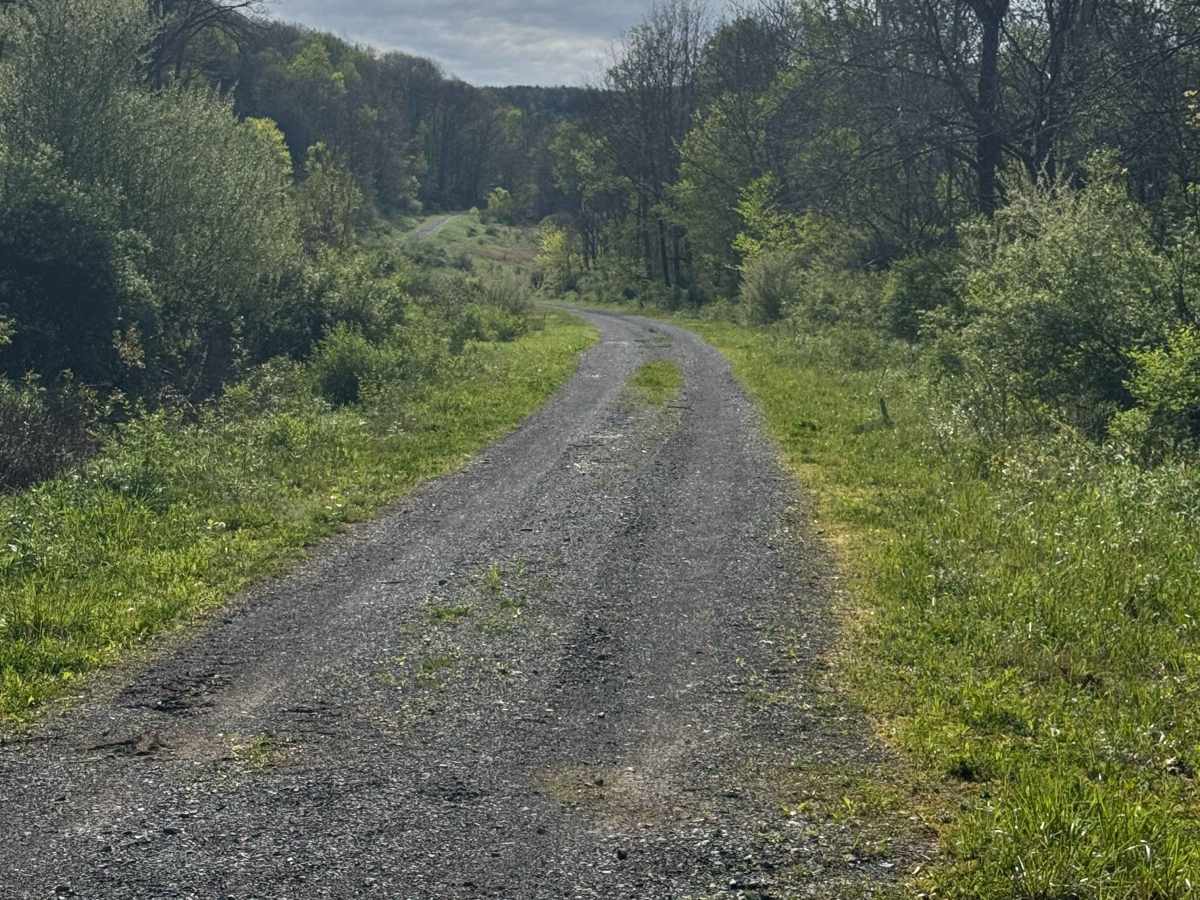Bark Camp Road photo 5