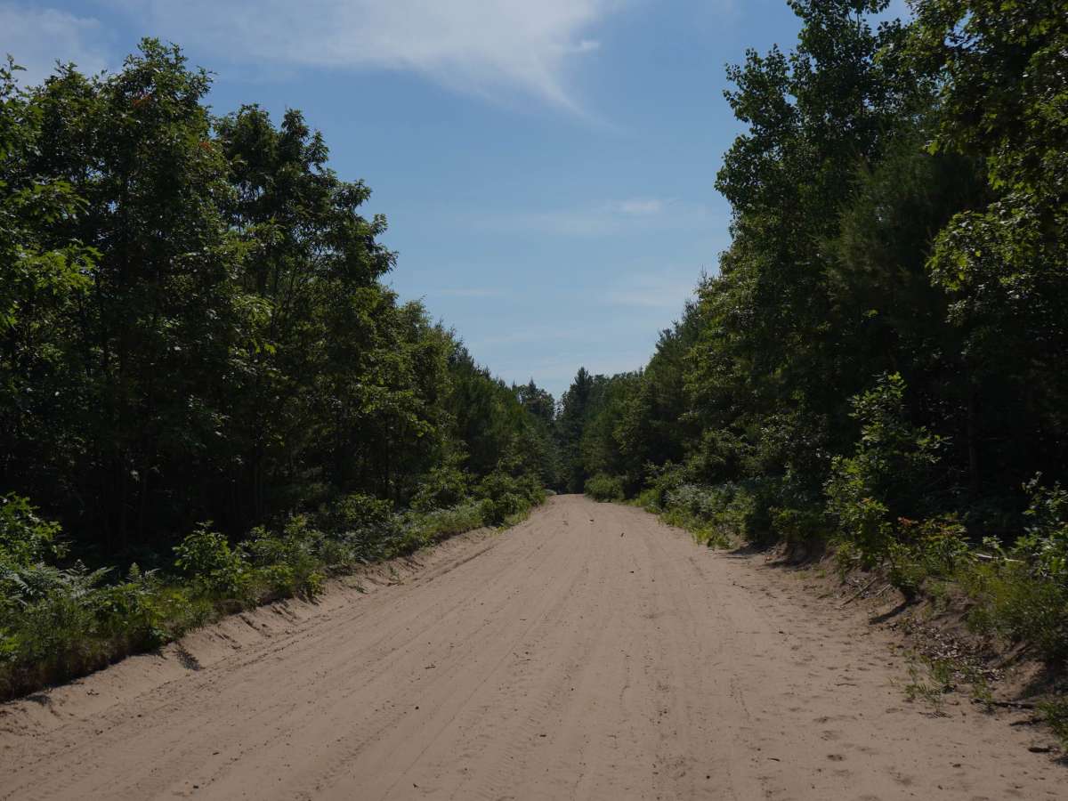 Mosquito Alley Truck Trail trail photo