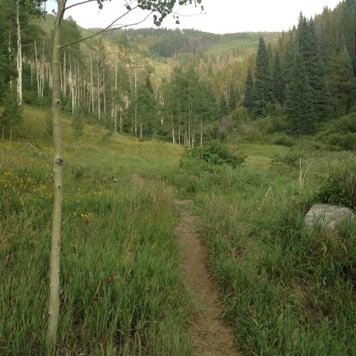 Near Game Creek Trail