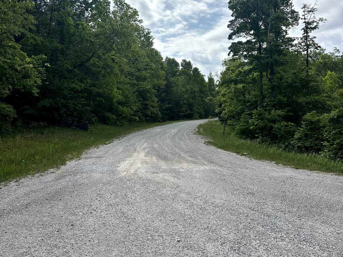 Parker Mountain Road photo 2