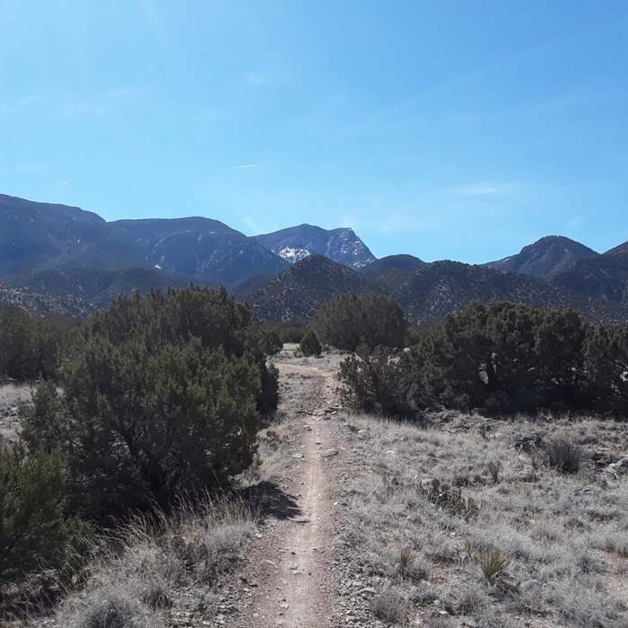 Lovely March day in the Placitas, Well marked trails! Near Placitas Stripmine Loop