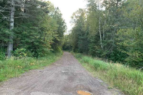 Cloquet Lake Road - FS 102