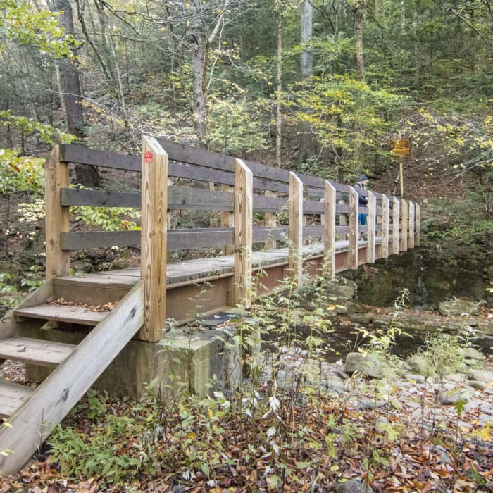 Near Wittenberg + Cornell Mountains