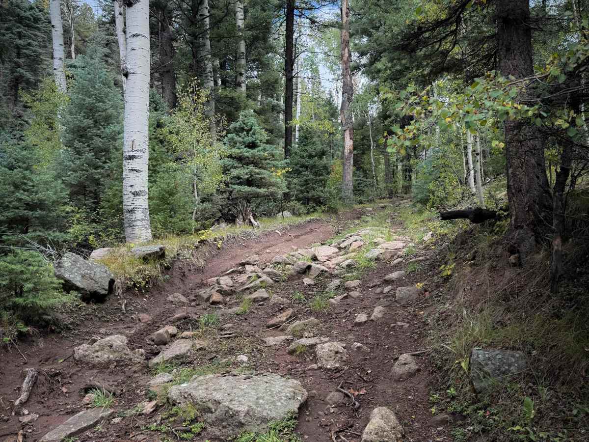 Maes Canyon Trail - FS 5 photo 4