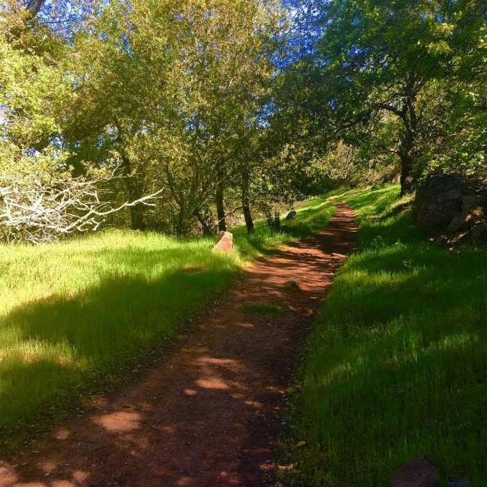 Near Annadel Park Channel Drive Loop