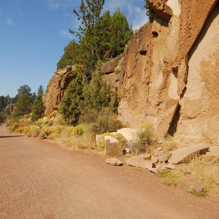Near Deschutes River Trail, South Canyon Reach