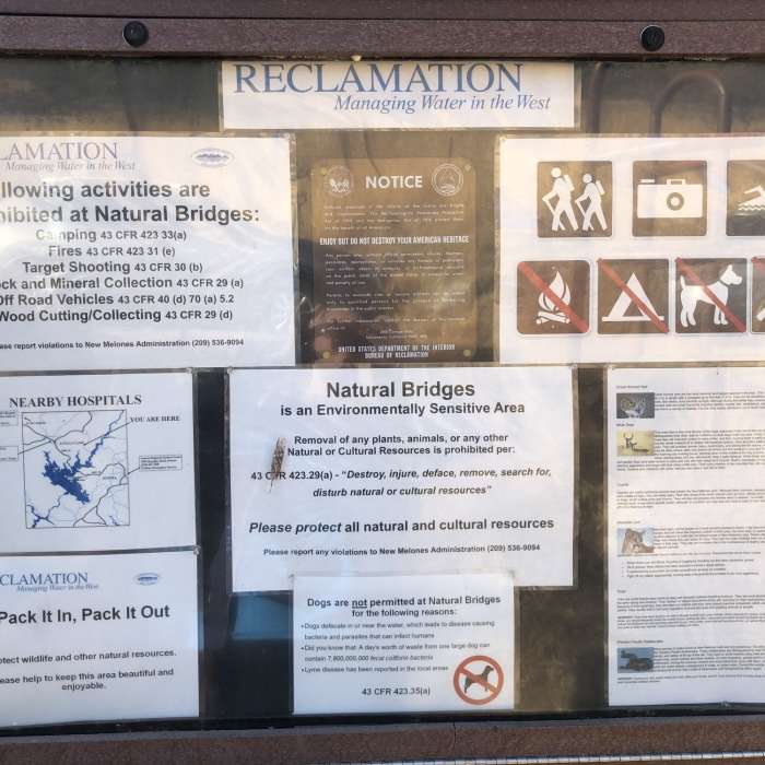 Near Natural Bridges Trail