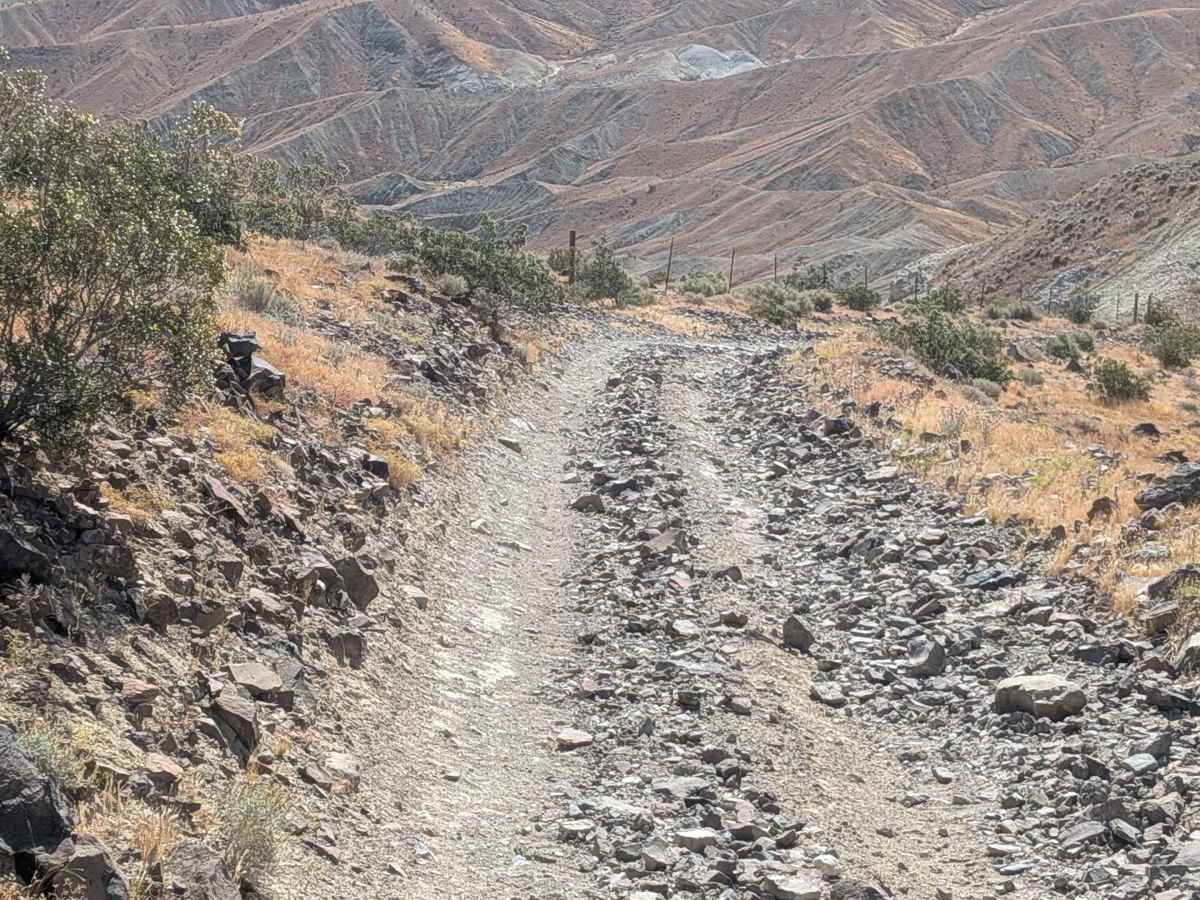 El Paseo Road photo 6