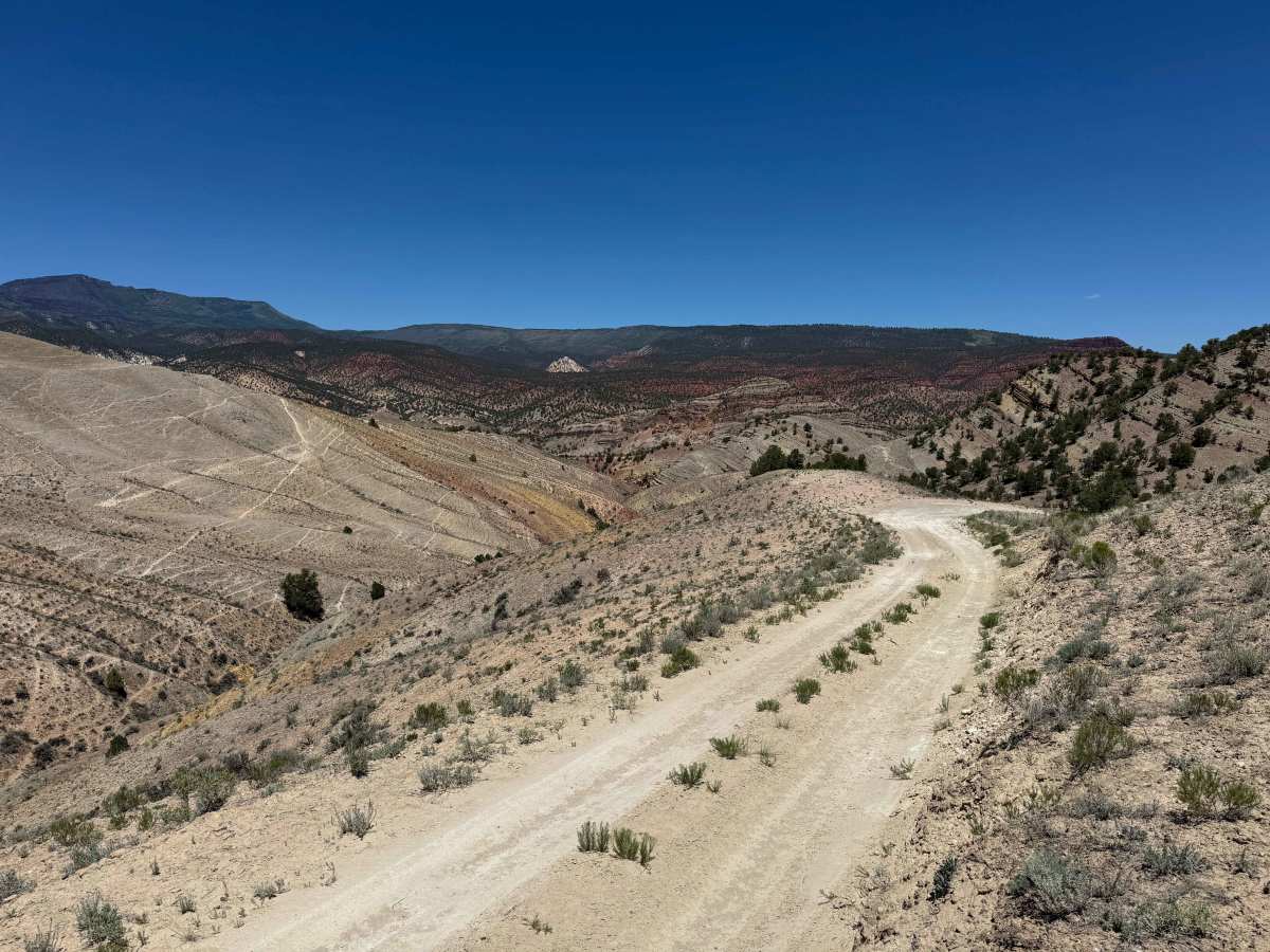 BLM 8479 photo 5