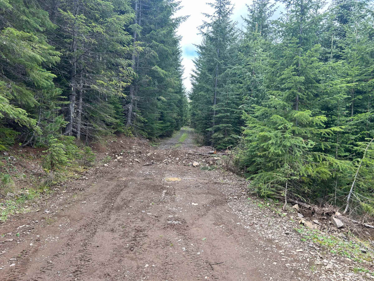 North Fork Little Naches - FS 1906 photo 5