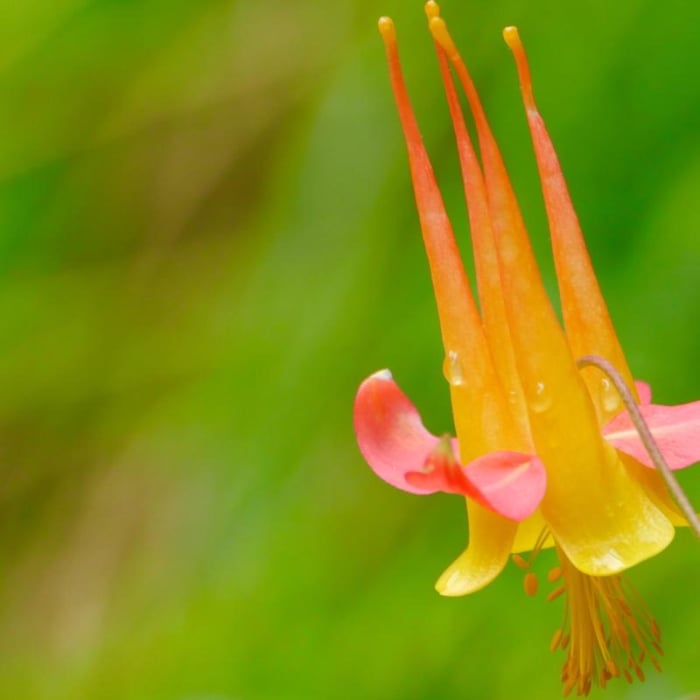 Near Clear Creek Hike Near Clear Creek Hike