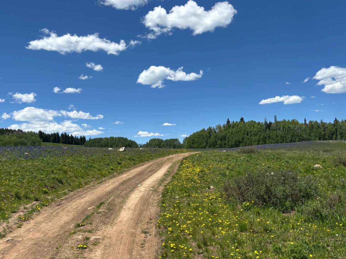 Buttermilk Road trail photo