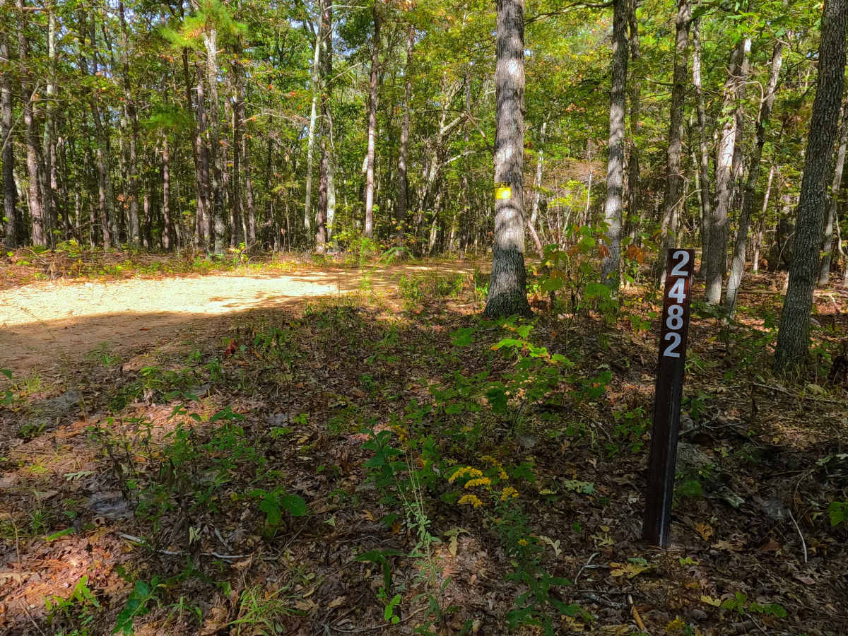 Coon Hollow - FS 2482 trail photo