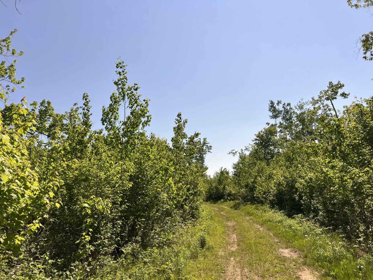 FS 2336BA/AAA photo 2