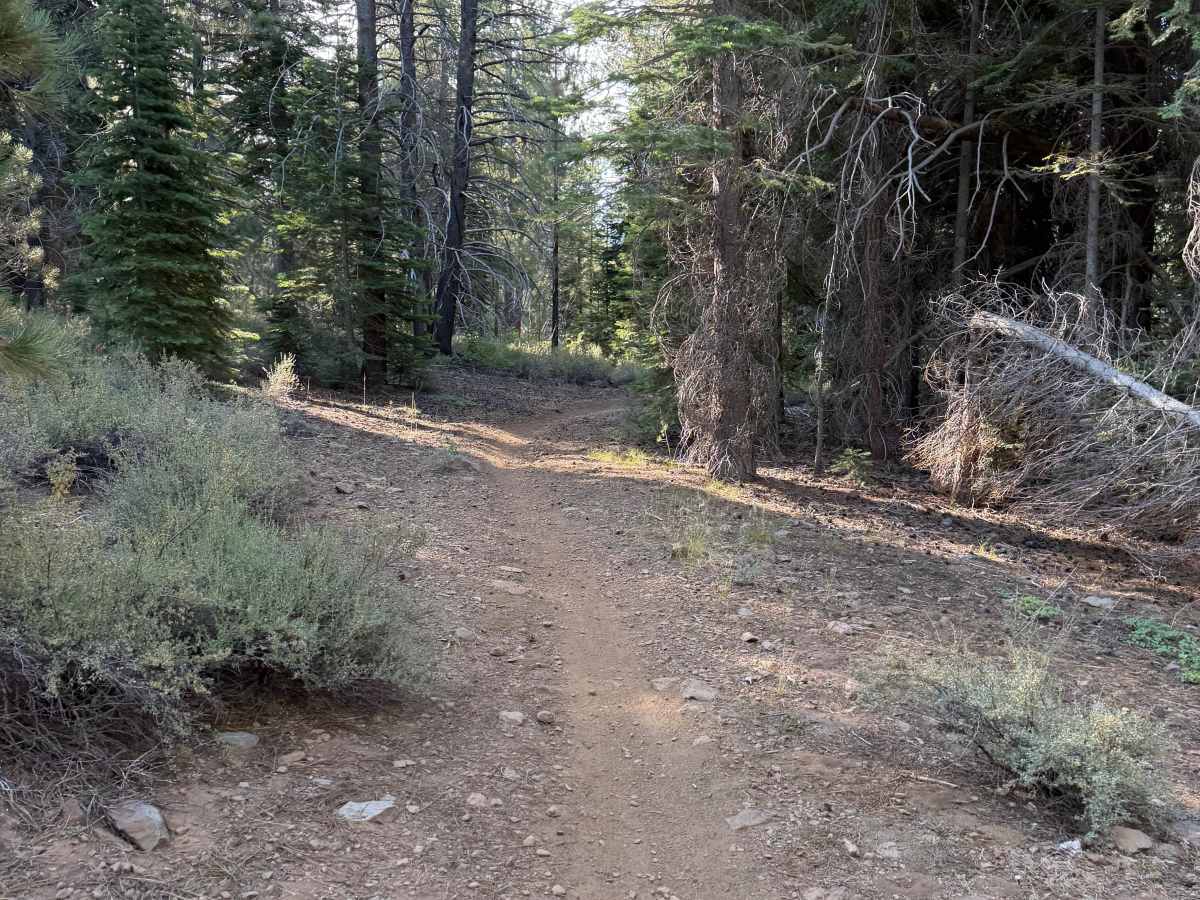 06-08 East Moto Trail photo 4